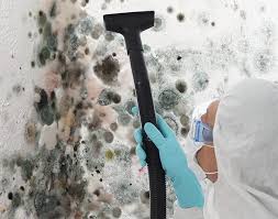 Why you should choose our mold remedi tion services in #city